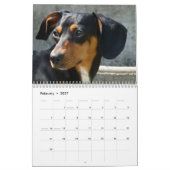 Mural Calendrier photo Dachshund (Feb 2027)