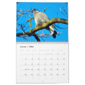 Mural Calendrier Pigeons 2016 (Jan 2026)