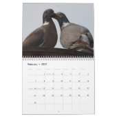 Mural Calendrier Pigeons 2016 (Feb 2027)