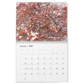 Mural Calendrier pittoresque des horizons 2018 (Jan 2027)