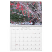 Mural Calendrier pittoresque d'horizons, 2016 (Jan 2027)