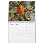 Mural Calendrier - Plus de champignons merveilleux #4 (Feb 2026)