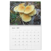 Mural Calendrier - Plus de champignons merveilleux #4 (Mar 2027)