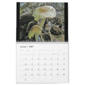Mural Calendrier - Plus de champignons merveilleux #4 (Jan 2027)