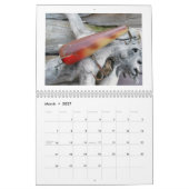Mural Calendrier - Plus Vintages leurres salins (Mar 2027)