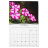 Mural Calendrier - Plutôt Petunias (Jan 2027)