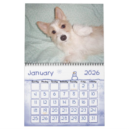 Mural Calendrier portugais Podengo Pequeno (Jan 2026)