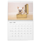 Mural Calendrier pour 2017 (Mar 2027)