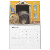 Mural Calendrier Precious Pigs 2016 (Mar 2027)