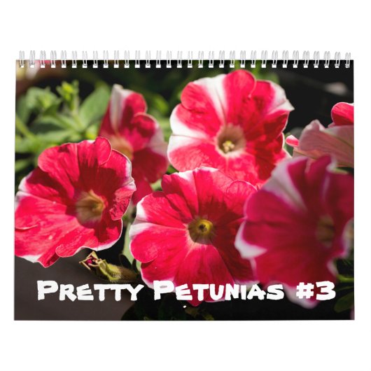 Mural Calendrier - Pretty Petunias (Protection)