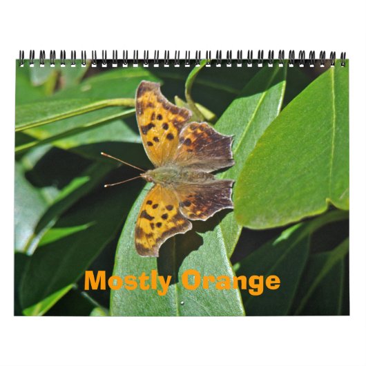 Mural Calendrier - Principalement orange (Protection)
