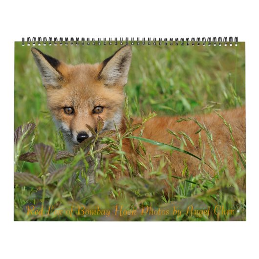 Mural Calendrier Red Fox par Angel Cher (Protection)