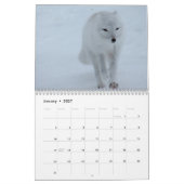 Mural Calendrier Renards 2016 (Jan 2027)