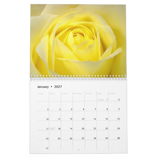 Mural Calendrier rose 2015 (Jan 2027)