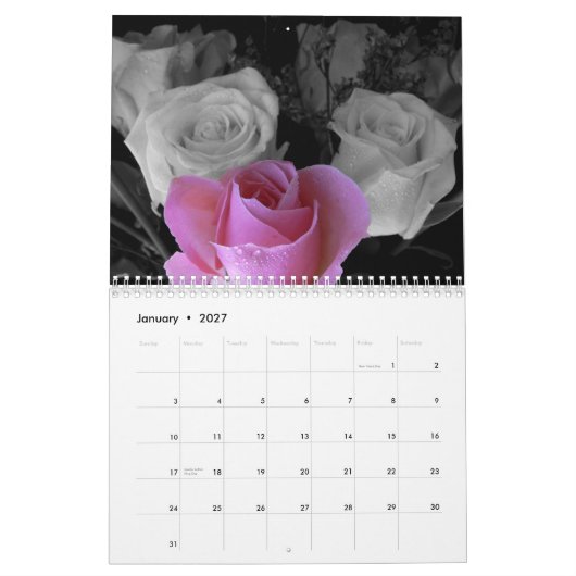 Mural Calendrier Rose 2015 (Jan 2027)