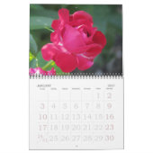 Mural Calendrier Rose du jardin anglais (Jan 2027)