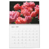 MURAL CALENDRIER ROSES FLEURS DE ROSE ROSE DOUX (Mar 2027)