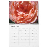 MURAL CALENDRIER ROSES FLEURS DE ROSE ROSE DOUX (Feb 2027)