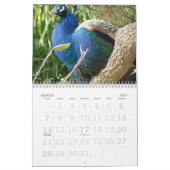 Mural Calendrier sauvage 2007 de l'oiseau de Rick (Mar 2027)