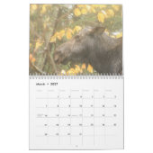 Mural Calendrier sauvage de la vie 2013 du Maine (Mar 2027)