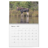 Mural Calendrier sauvage de la vie 2013 du Maine (Feb 2027)