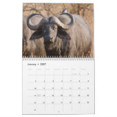 Mural Calendrier sauvage de l'Afrique (Jan 2027)
