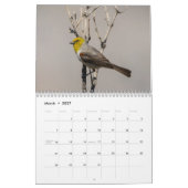 Mural Calendrier sauvage de l'oiseau 2016 (Mar 2027)
