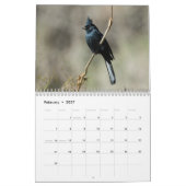 Mural Calendrier sauvage de l'oiseau 2016 (Feb 2027)