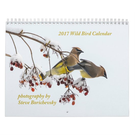 Mural Calendrier sauvage de l'oiseau 2017 (Protection)