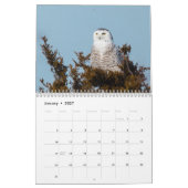 Mural Calendrier sauvage de l'oiseau 2017 (Jan 2027)