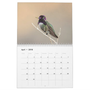 Mural Calendrier sauvage de l'oiseau 2018