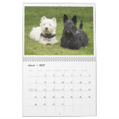 Mural Calendrier Scotties et Westies (Mar 2027)