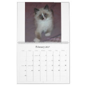 Mural Calendrier sibérien de chats et de chatons 09 (Feb 2027)
