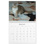 Mural Calendrier sibérien de chats et de chatons 09 (Mar 2027)