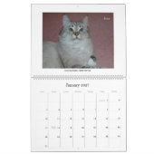 Mural Calendrier sibérien de chats et de chatons 09 (Jan 2027)