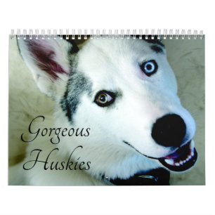 Mural Calendrier Sibérien Husky Chien 2026