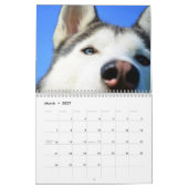 Mural Calendrier Sibérien Husky Chien 2026 (Mar 2027)