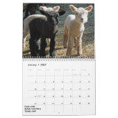 Mural Calendrier Southdown de 2018 de NABSSAR moutons de (Jan 2027)