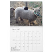 Mural Calendrier Southdown de 2018 de NABSSAR moutons de (Mar 2027)