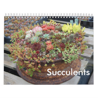 Mural Calendrier succulent