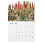 Mural Calendrier succulent des photos 2015 de Debra Lee (Jan 2027)