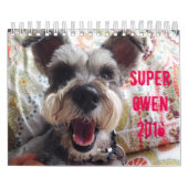 Mural Calendrier superbe d'Owen 2016 (Protection)