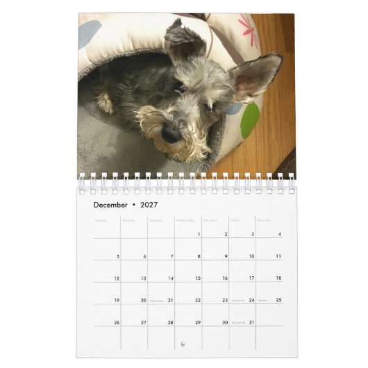 Mural Calendrier superbe d'Owen 2016 (Dec 2027)