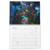 Mural Calendrier tropical des poissons 2009 (Jan 2027)