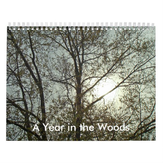Mural Calendrier - Une année dans les bois (Protection)