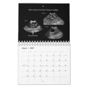 Mural Calendrier vétérinaire d'ultrason (Mar 2027)