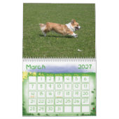 Mural Calendrier Welsh Corgi (Mar 2027)