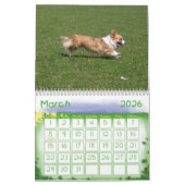 Mural Calendrier Welsh Corgi (Mar 2026)