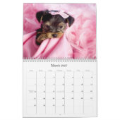 Mural Calendrier Yorkshire Terrier (Mar 2027)