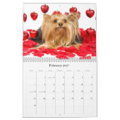 Mural Calendrier Yorkshire Terrier (Feb 2027)